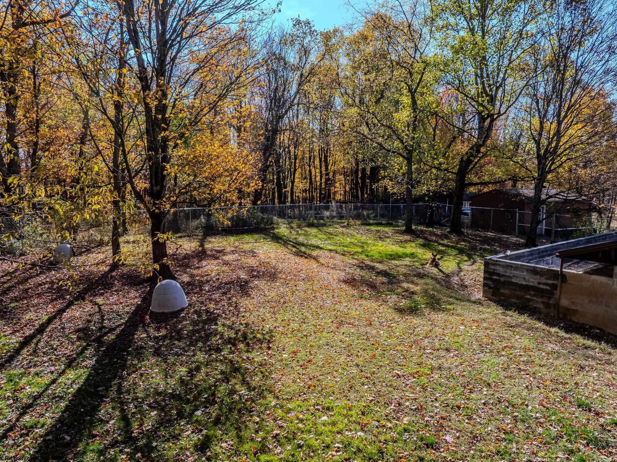 611 Mount Liberty Road Philippi, WV 26416 - Photo 10 of 47 Gallery Image 10