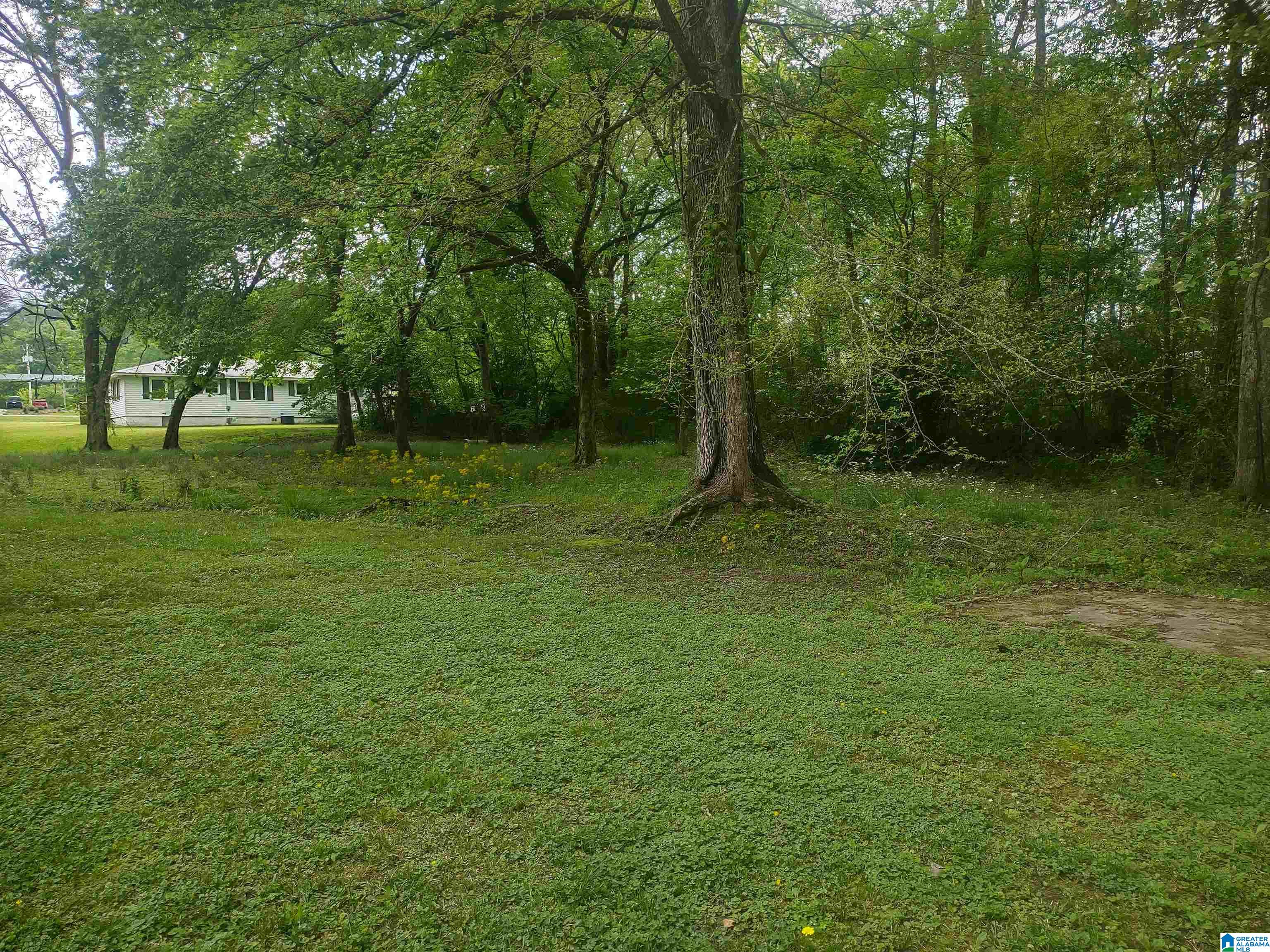 5 Highway 1 Oneonta Al Oneonta, AL 35121 - Photo 42 of 46