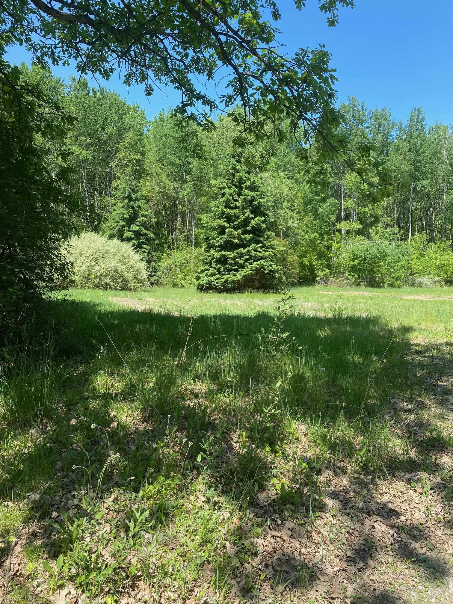 3302 Dana Road Coleman, MI 48618 - Photo 40 of 50