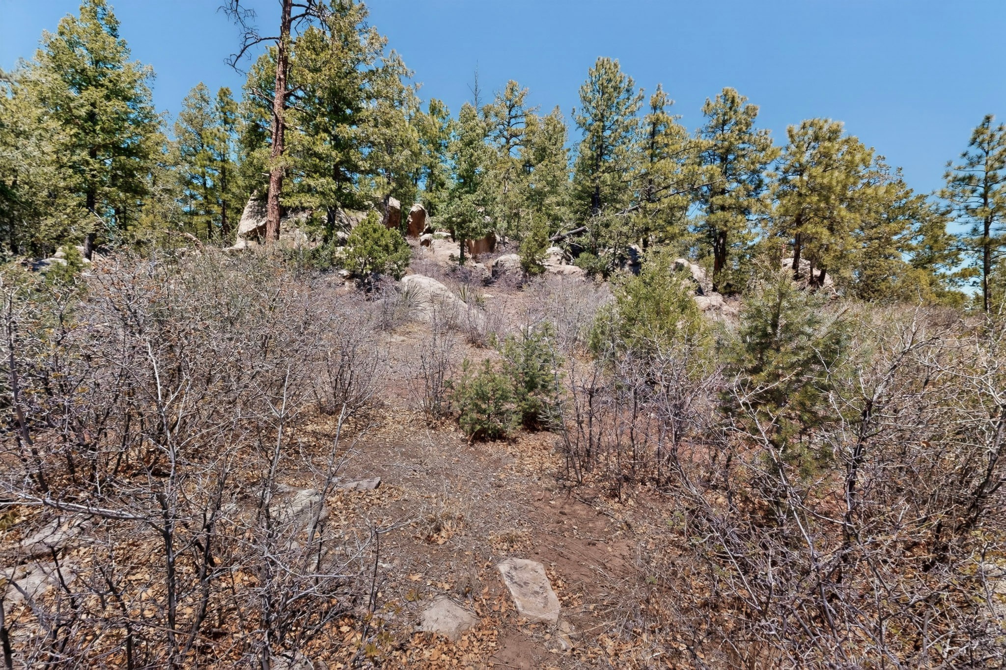 30 Monte La Cueva Road Glorieta, NM 87535 - Photo 84 of 91