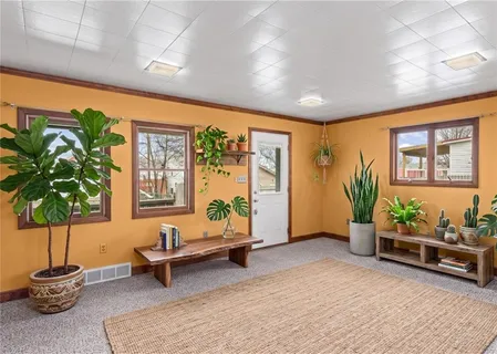 a living room with furniture and a potted plant