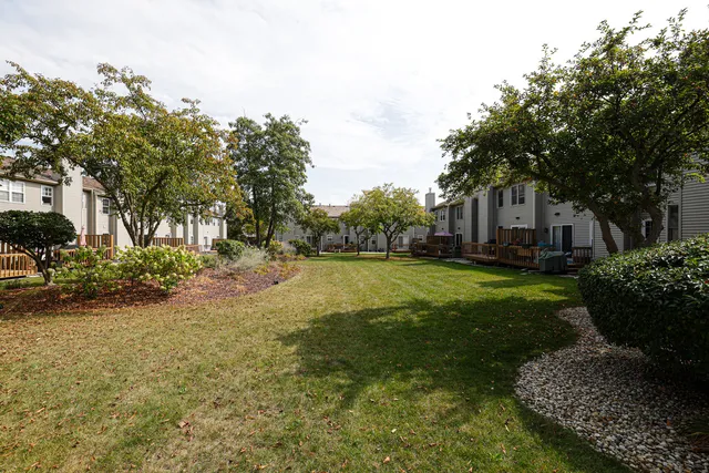a view of a yard with plants and trees