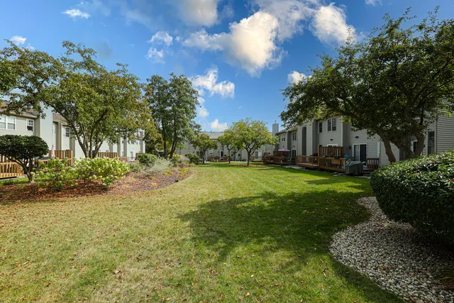 a view of a yard with plants and large trees