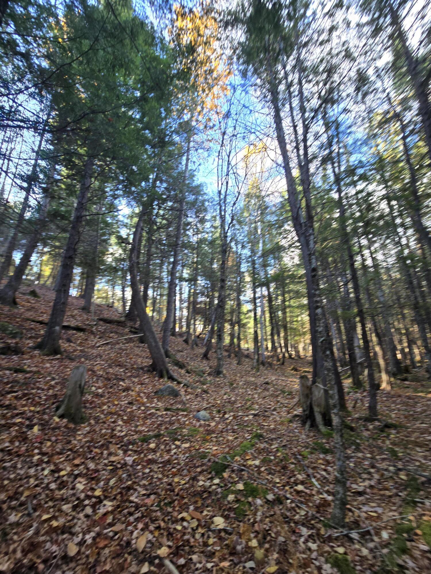 53 Back Road Abbot, ME 04406 - Photo 19 of 73 20251017_092348