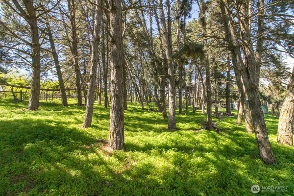 $1,100,000 | 3001 Pullman Albion Road, Pullman, WA 99163