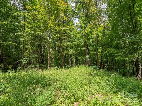 $40,000 | 0 Flowing Brook Lane, Unit 3, Waynesville, NC 28786