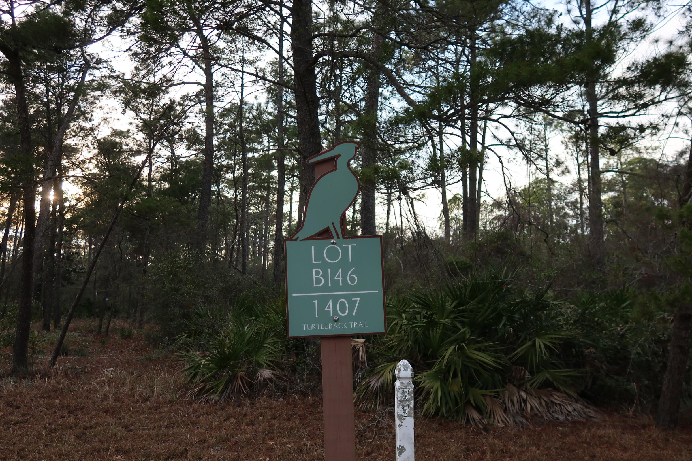 1407 Turtleback Trail Panama City Beach, FL 32413 - Photo 7 of 8 IMG_0283