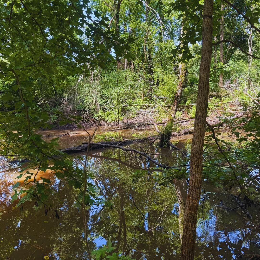 106 County Road Abbeville, MS 38601 - Photo 12 of 12 Gallery Image 12