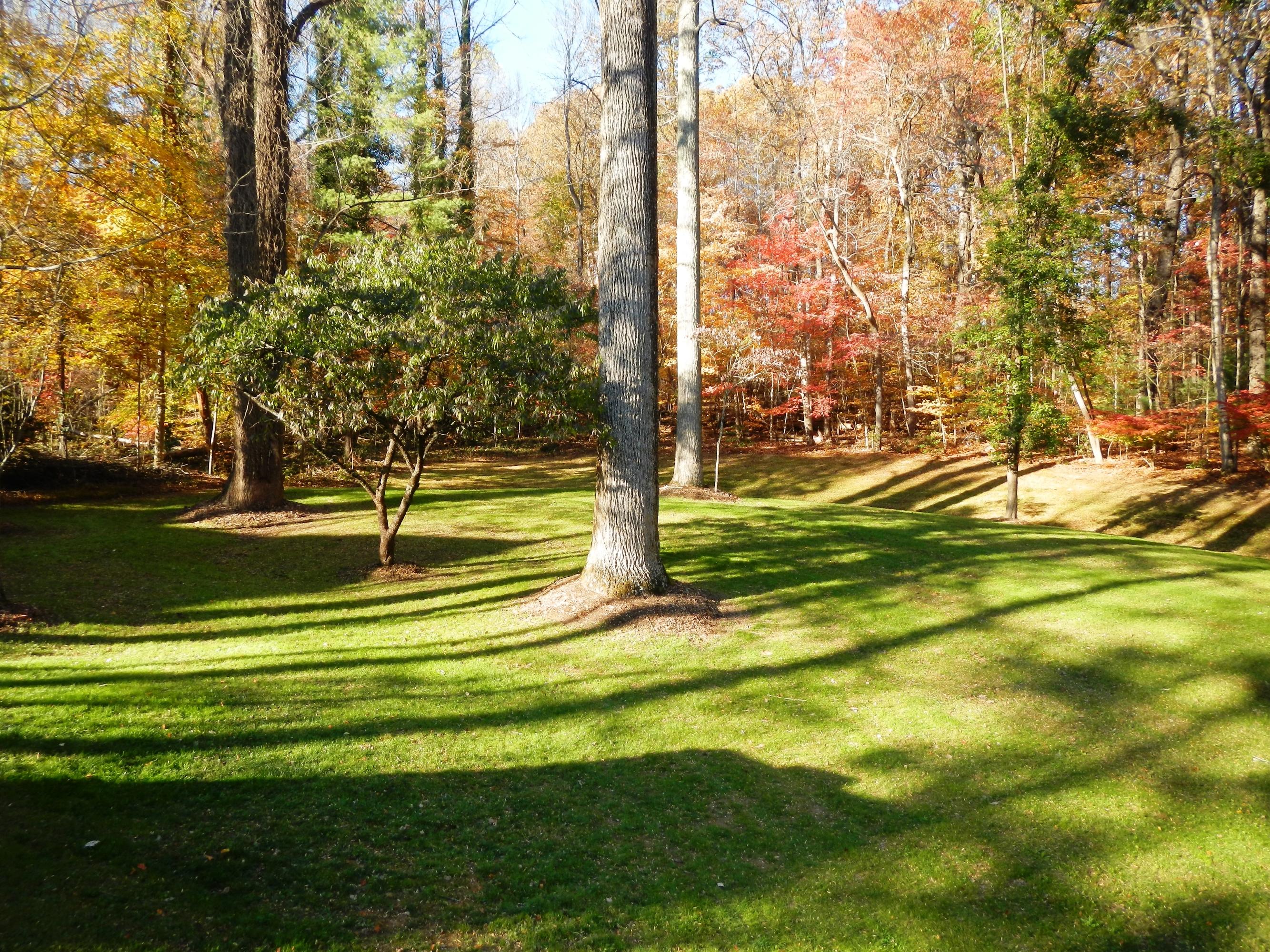 105 Newark Lane Oak Ridge, TN 37830 - Photo 33 of 36 backyard