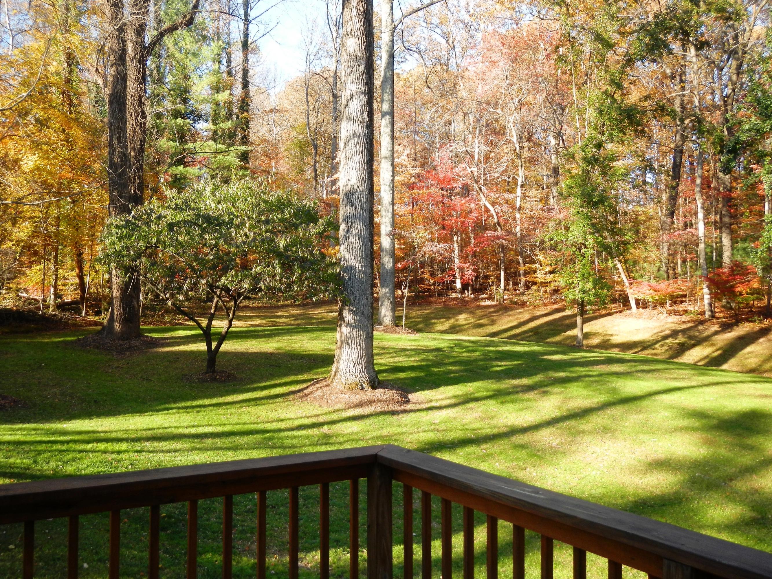 105 Newark Lane Oak Ridge, TN 37830 - Photo 34 of 36 backyardfromdeck
