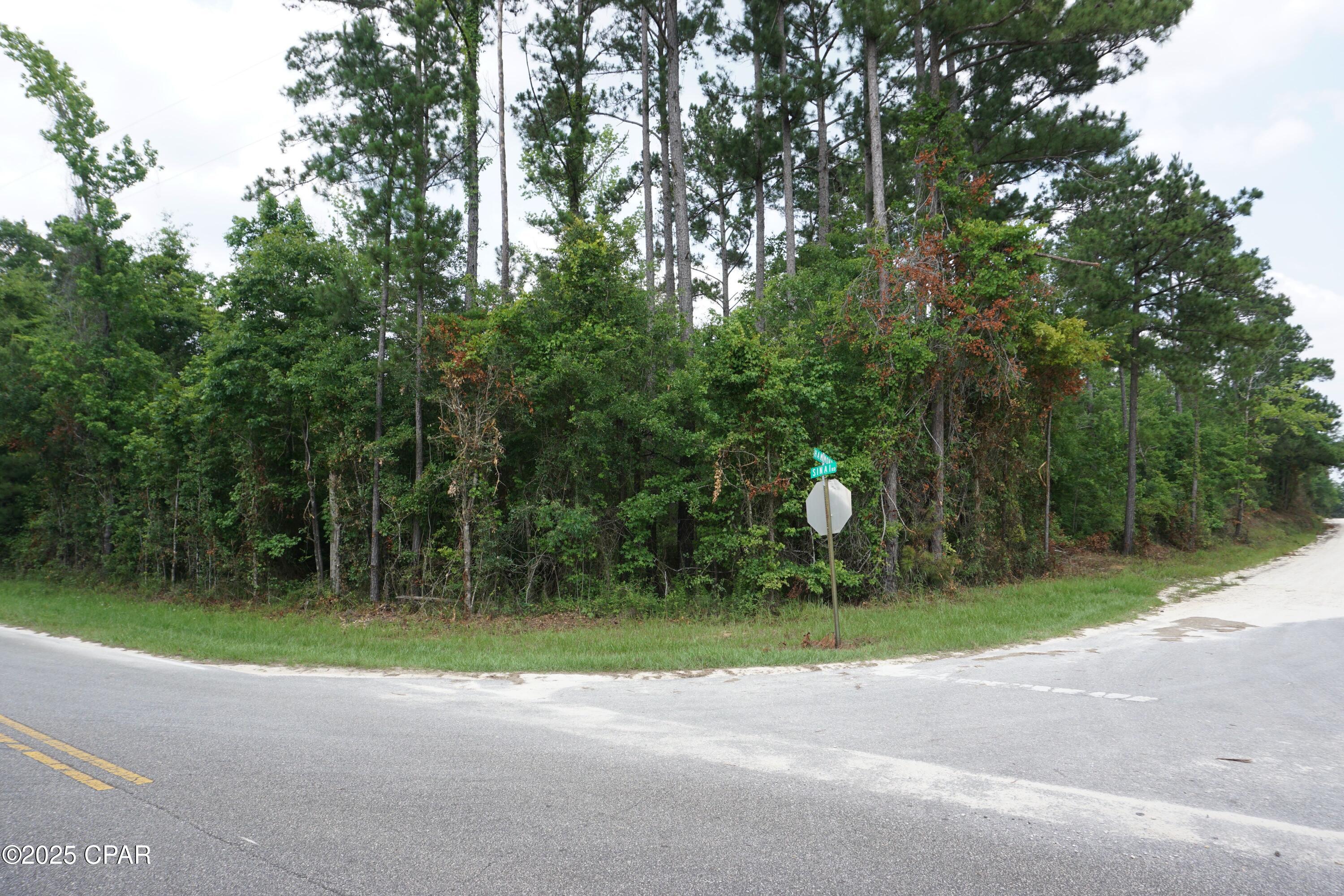 Xxx Hammond Road Sneads, FL 32460 - Photo 2 of 5 Gallery Image 2