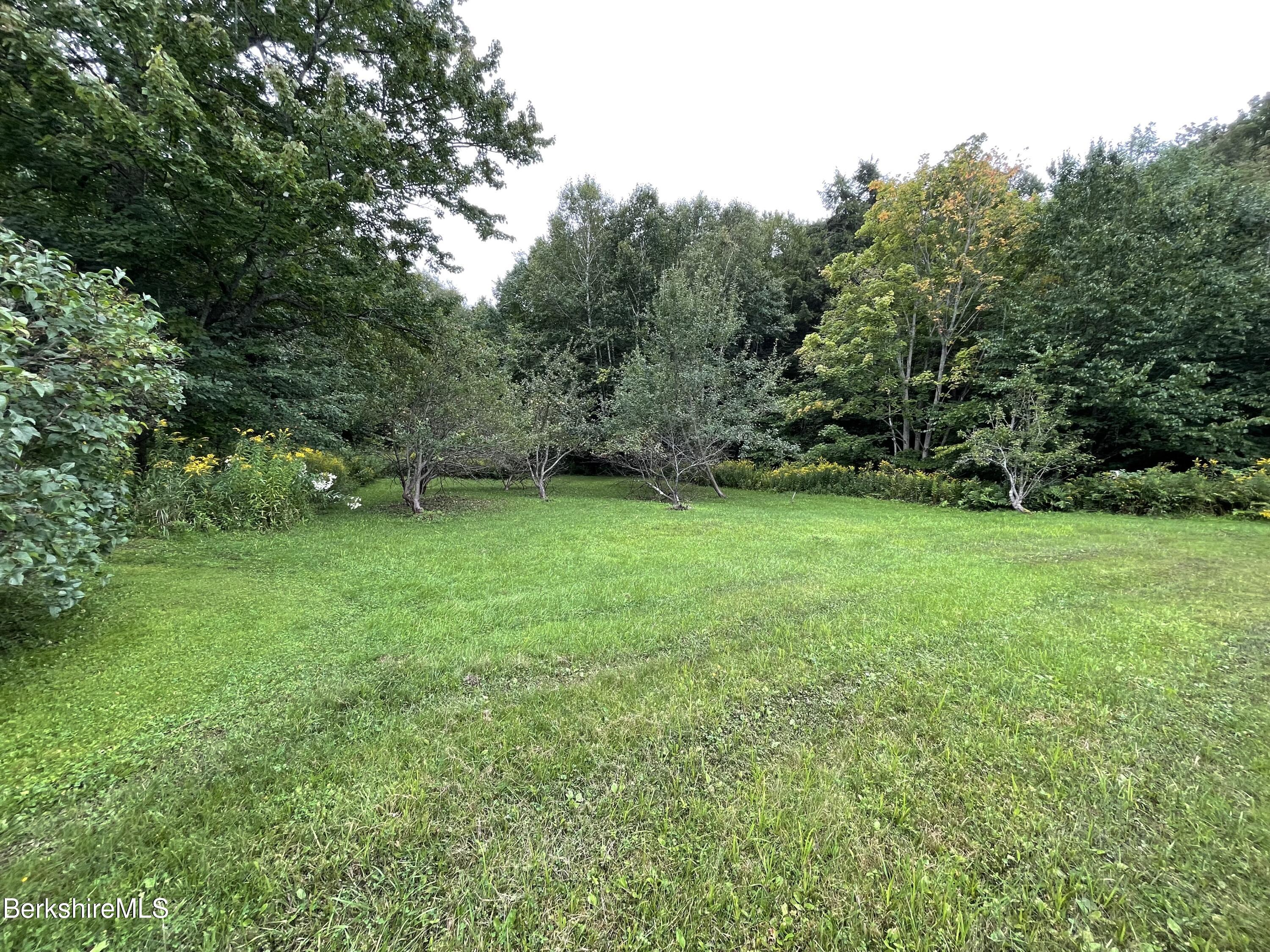 231 Central Shaft Road Florida, MA 01247 - Photo 20 of 21 a view of a green field with trees in the background