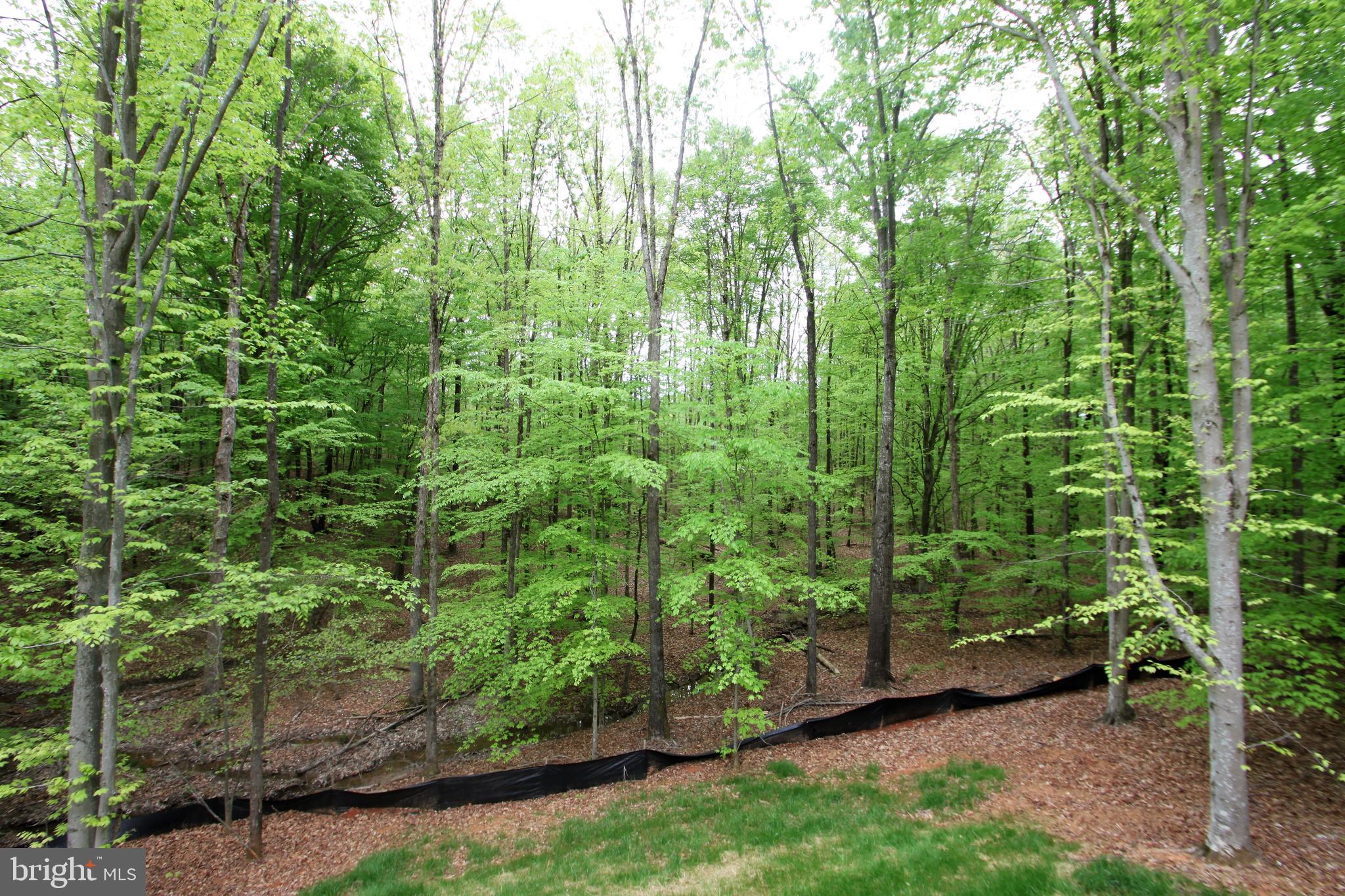 22508 Berry Run Road Orange, VA 22960 - Photo 22 of 24 Gallery Image 22