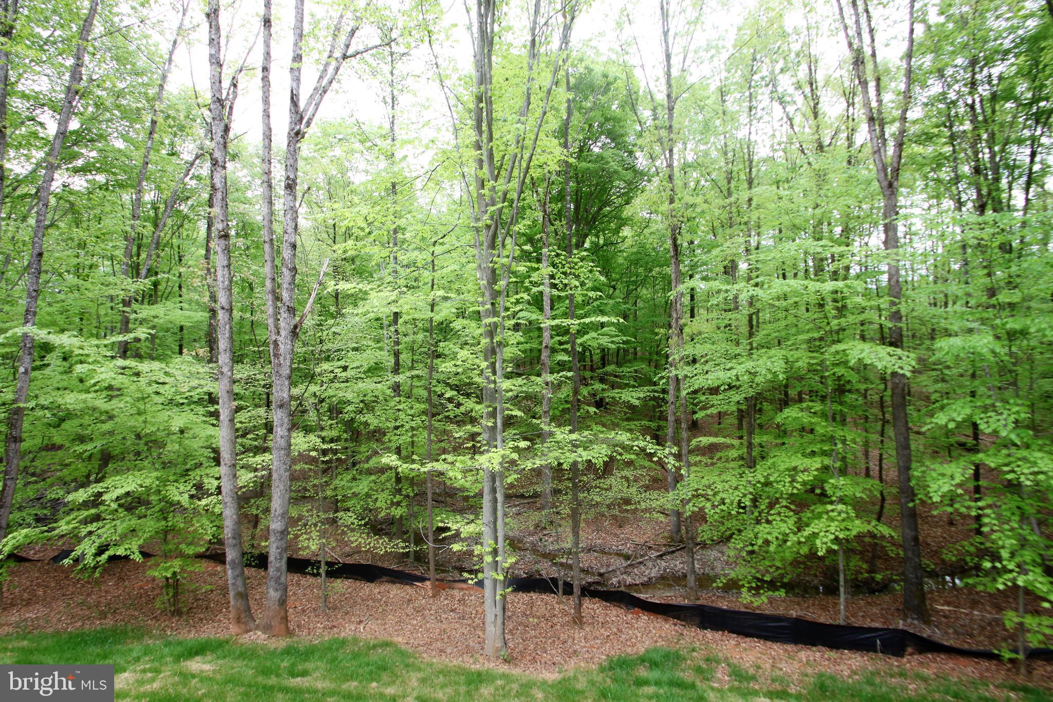 22508 Berry Run Road Orange, VA 22960 - Photo 23 of 24 Gallery Image 23