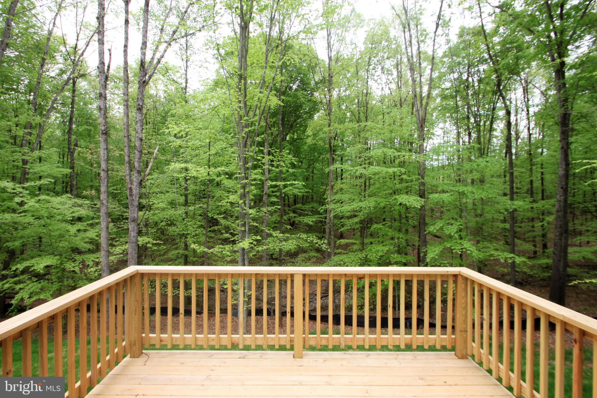 22508 Berry Run Road Orange, VA 22960 - Photo 5 of 24 Gallery Image 5