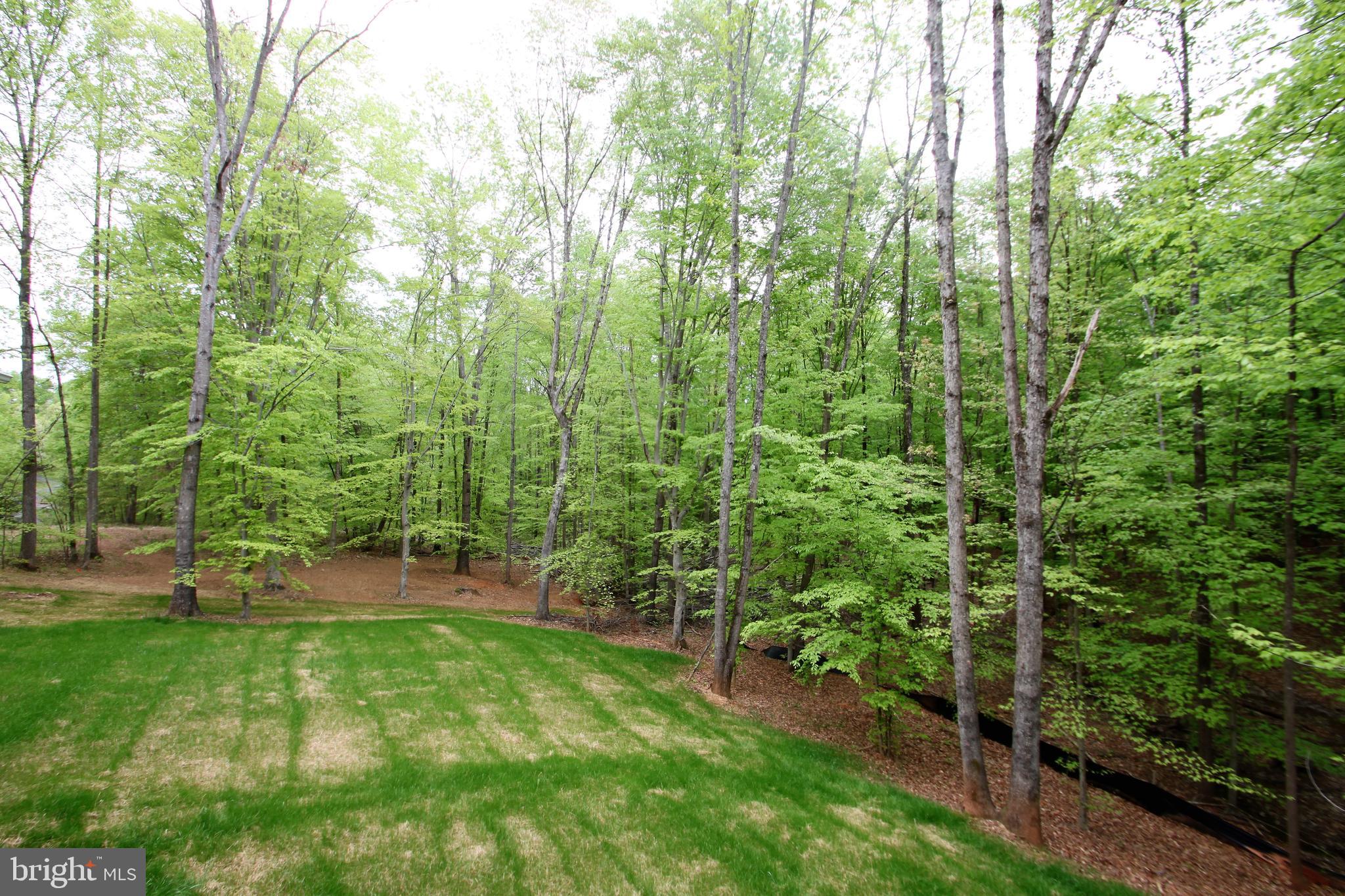 22508 Berry Run Road Orange, VA 22960 - Photo 7 of 24 Gallery Image 7