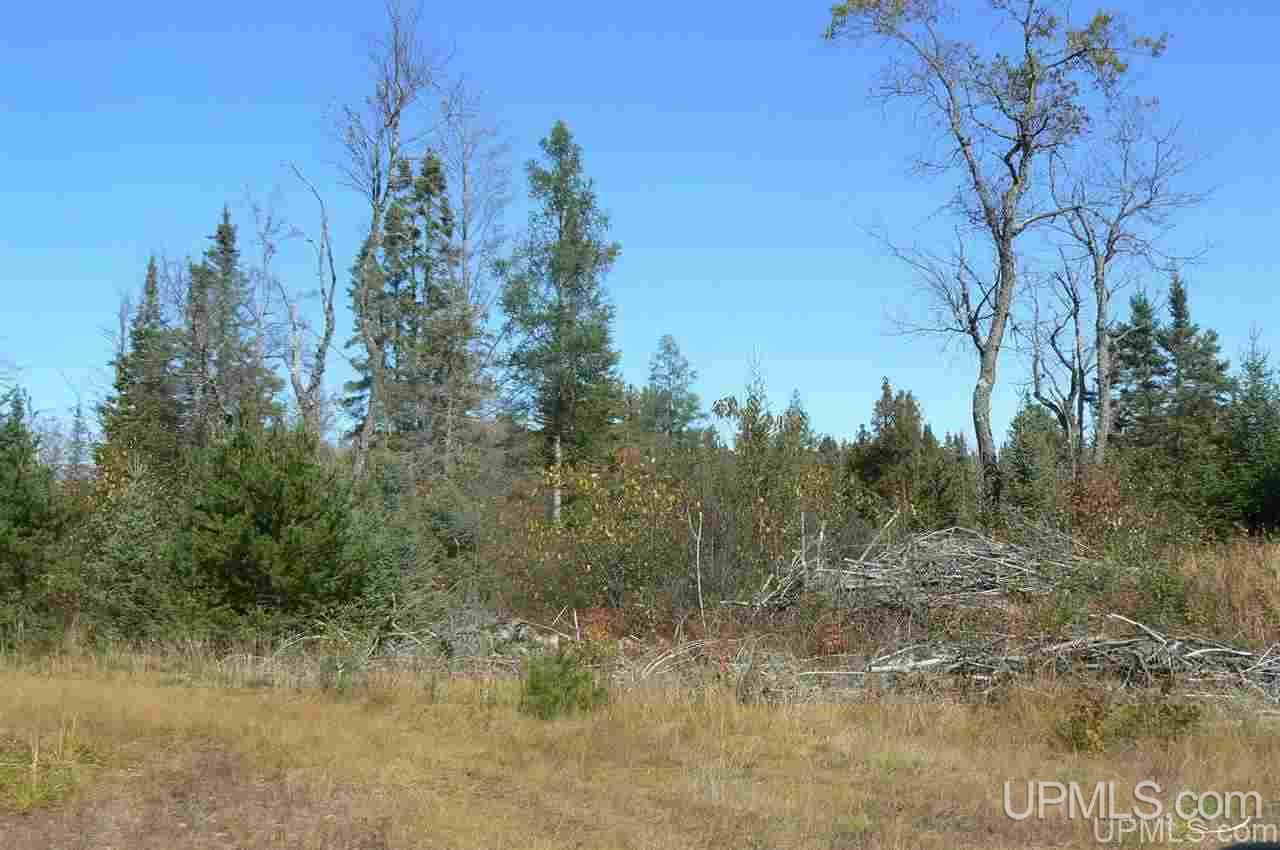 E8151 Co Road Wetmore, MI 49895 - Photo 18 of 27