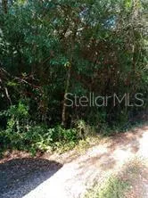 a view of outdoor space with deck and yard