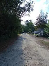 a view of road with trees