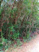 a view of a street with a building in the background