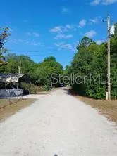 a view of a backyard with trees