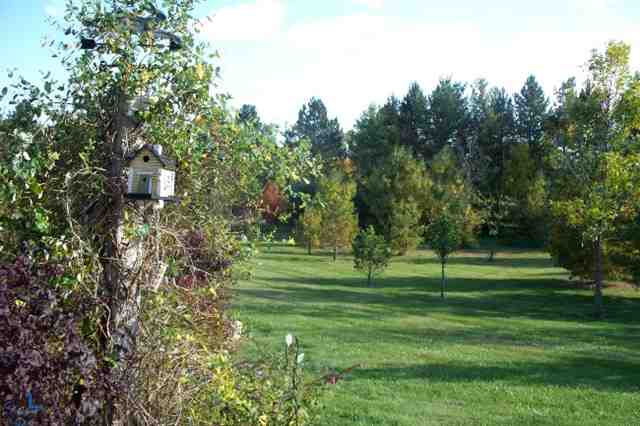 4833 Cuttle Road St. Clair, MI 48079 - Photo 26 of 30 31122050-25.JPG