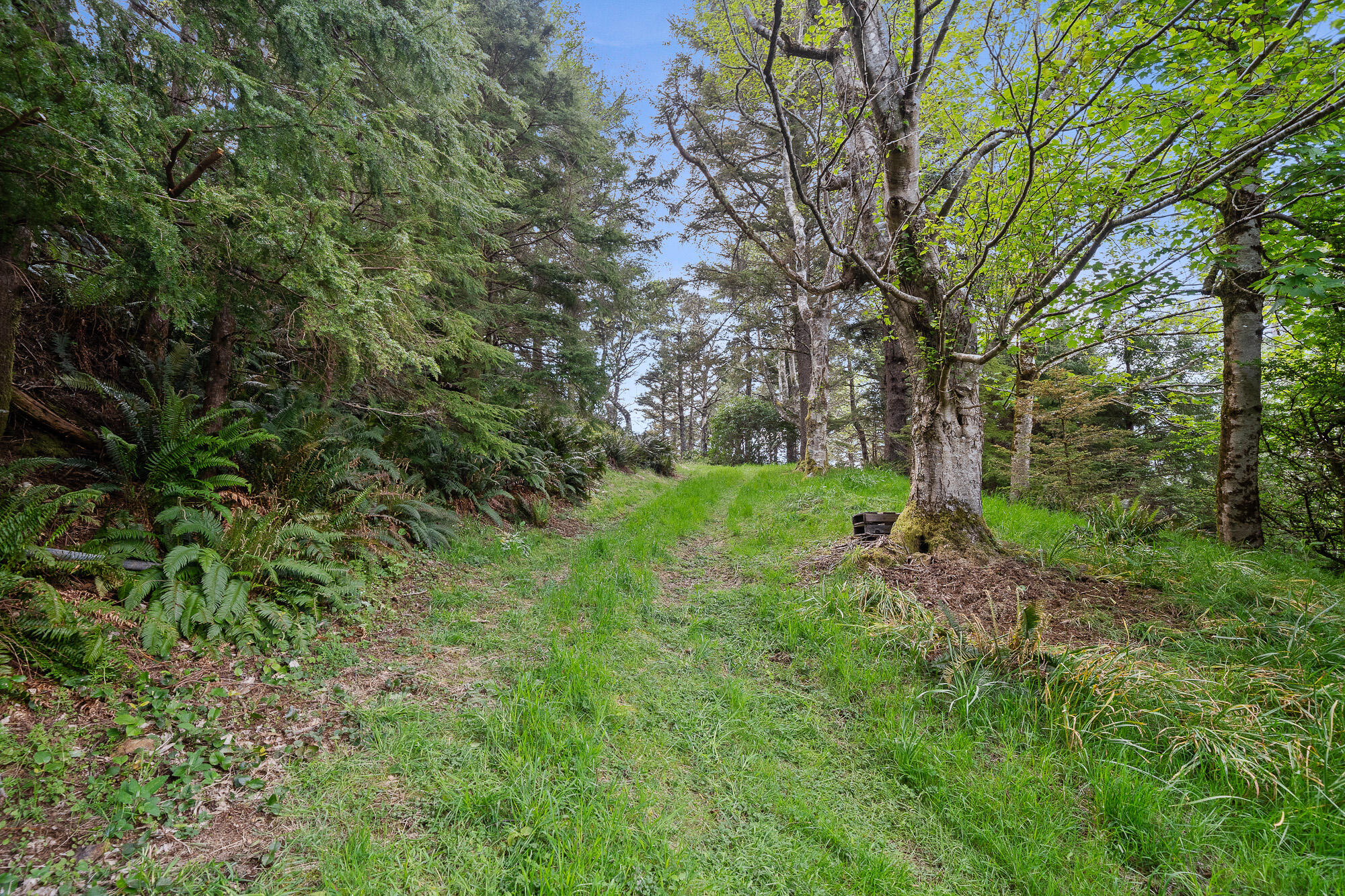 800 Cape Meares Loop Tillamook, OR 97141 - Photo 4 of 15 4
