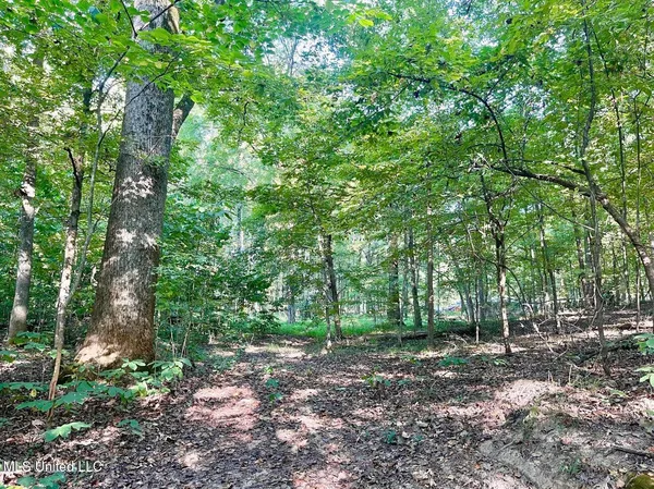 $92,000 | 2288 Wanda Faye Drive, Hernando, MS 38632