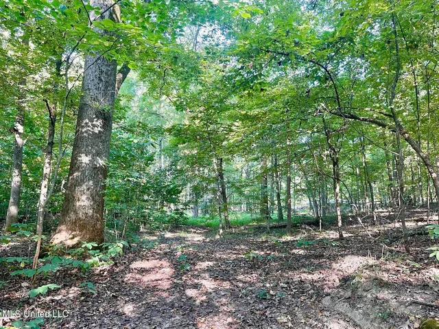 $92,000 | 2288 Wanda Faye Drive, Hernando, MS 38632