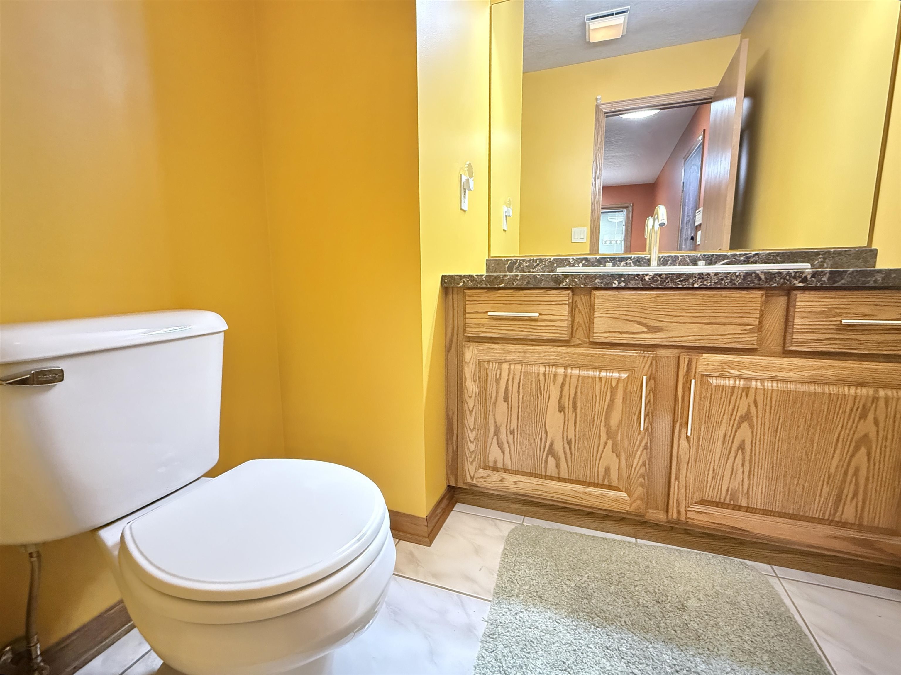 5449 South Branch Court Rochelle, IL 61068 - Photo 19 of 45 a bathroom with a granite countertop sink and a mirror