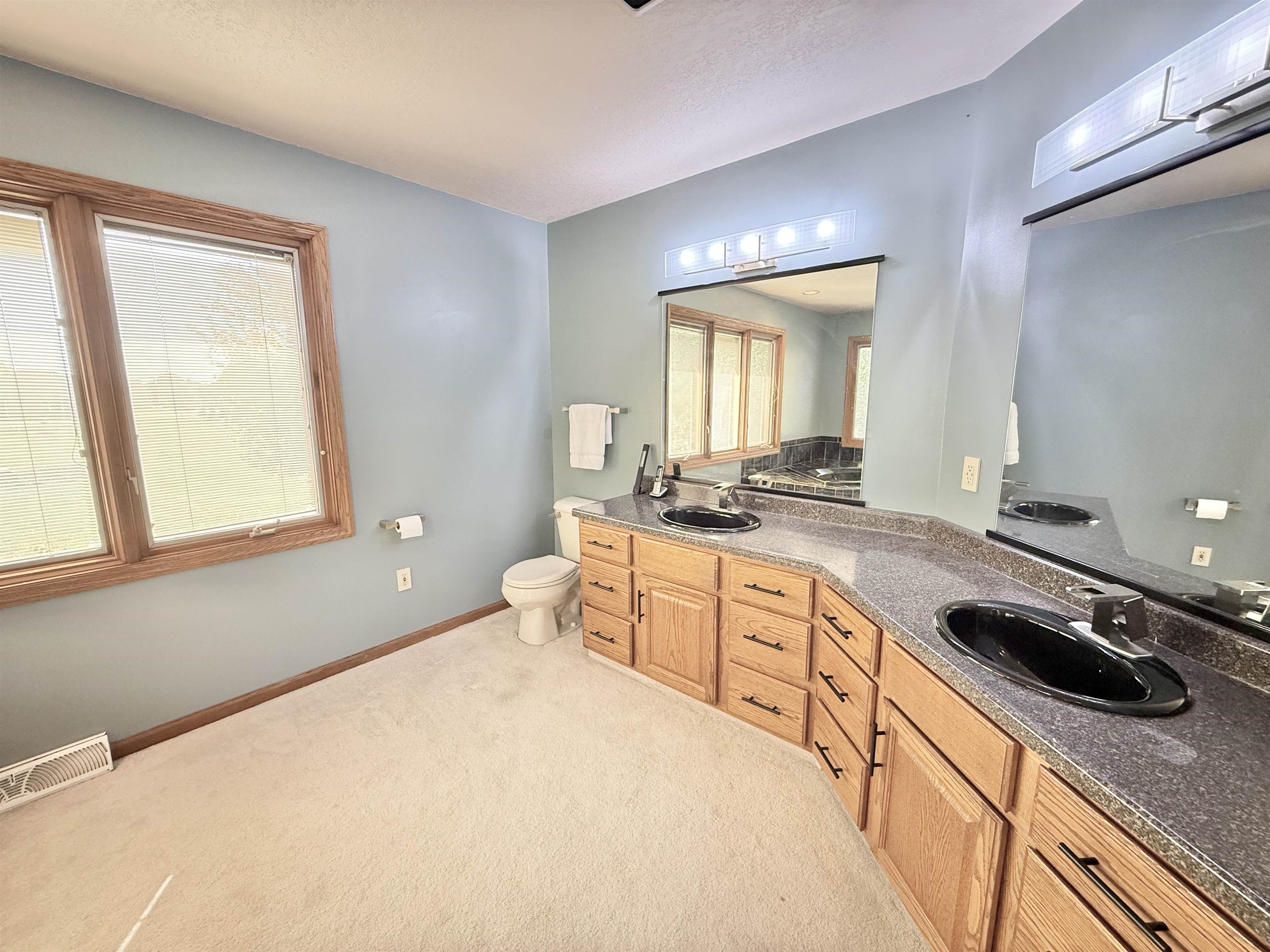 5449 South Branch Court Rochelle, IL 61068 - Photo 24 of 45 a spacious bathroom with a granite countertop sink and a window