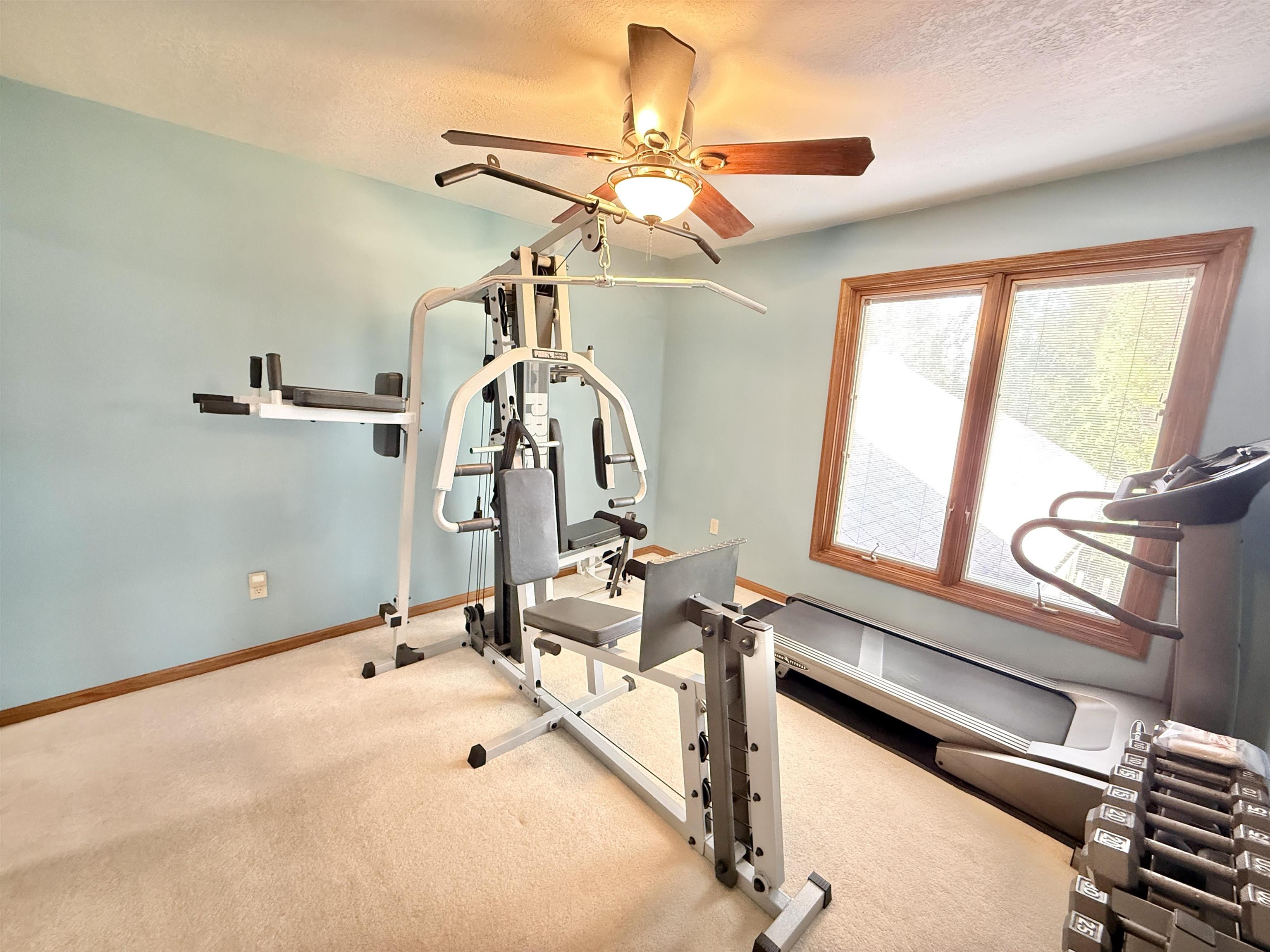 5449 South Branch Court Rochelle, IL 61068 - Photo 31 of 45 a view of a room with gym equipment