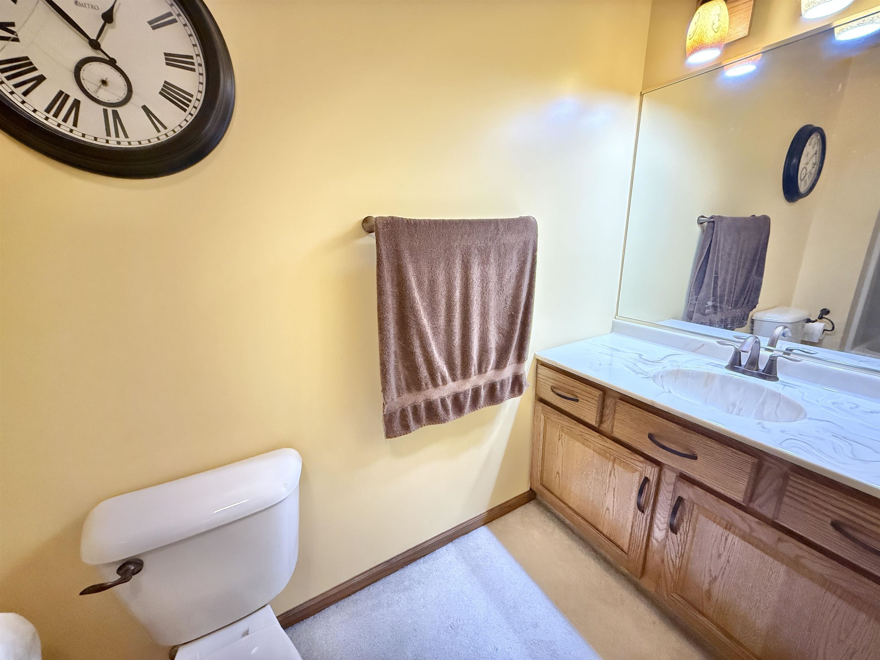 5449 South Branch Court Rochelle, IL 61068 - Photo 32 of 45 a bathroom with a sink a mirror and a toilet