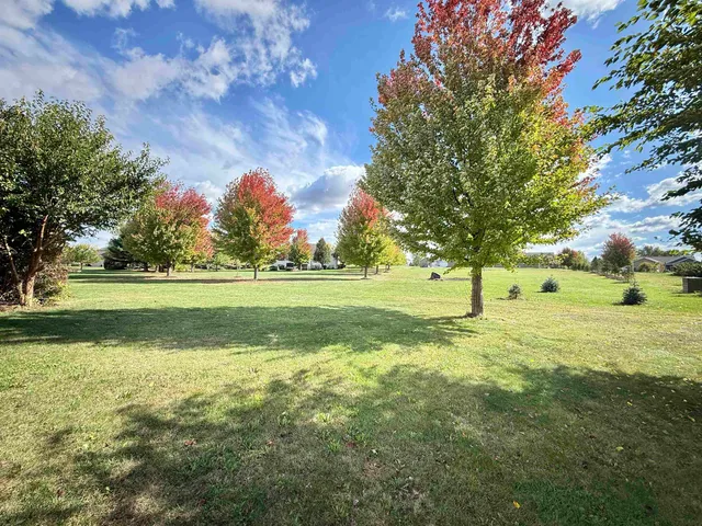 a view of yard with green space and trees