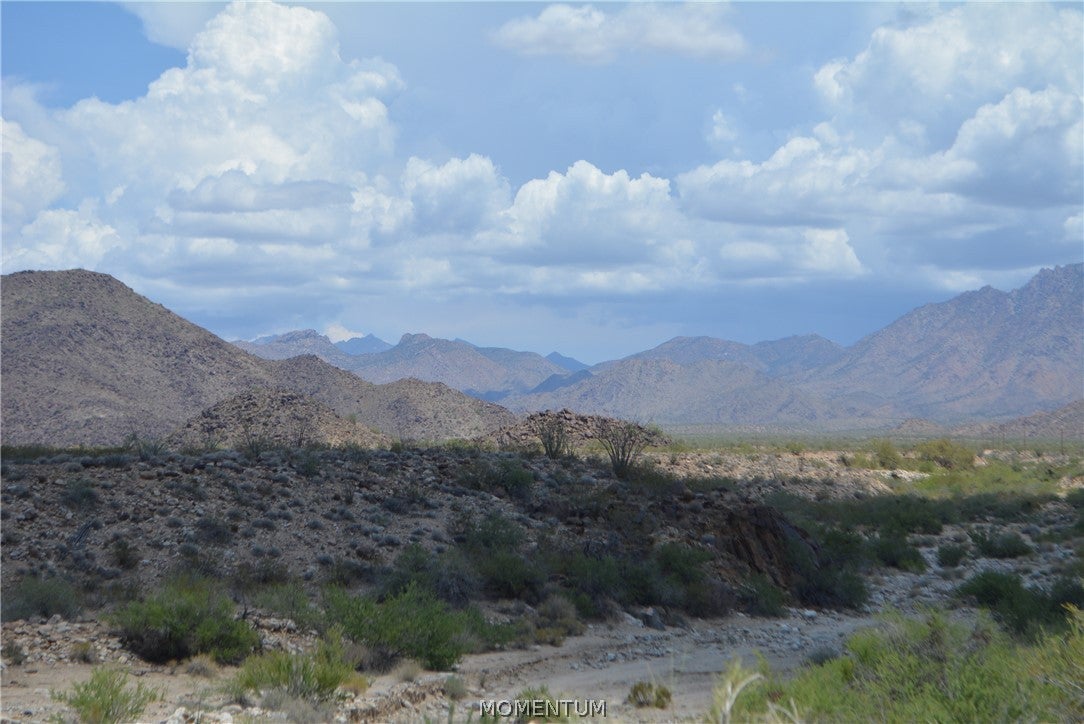 208-24-134 South Cameron Road Yucca, AZ 86438 - Photo 39 of 86 Gallery Image 39