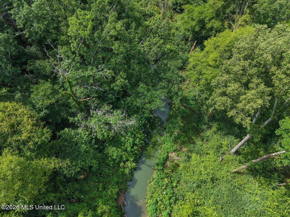 0 Us-80 Forest Forest, MS 39074 - Photo 8 of 16 06-IMG_3609