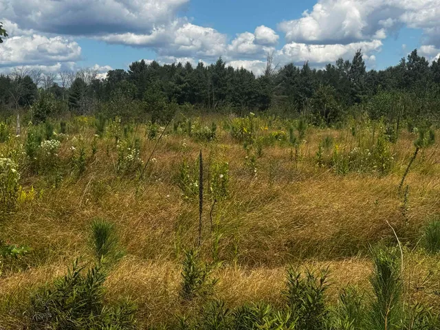 $400,000 | 80-ac 80-ac 13th Avenue, Arkdale, WI 54613