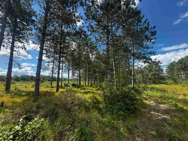 $400,000 | 80-ac 80-ac 13th Avenue, Arkdale, WI 54613