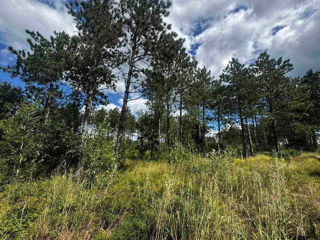 $400,000 | 80-ac 80-ac 13th Avenue, Arkdale, WI 54613