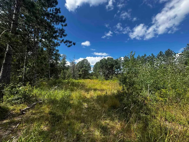 $400,000 | 80-ac 80-ac 13th Avenue, Arkdale, WI 54613