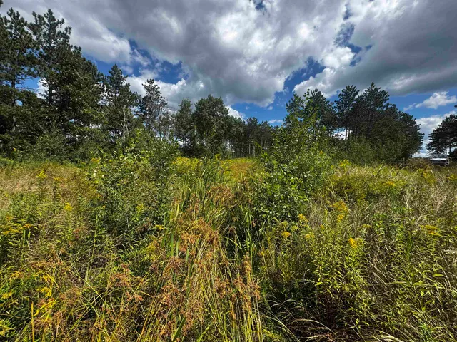 $400,000 | 80-ac 80-ac 13th Avenue, Arkdale, WI 54613