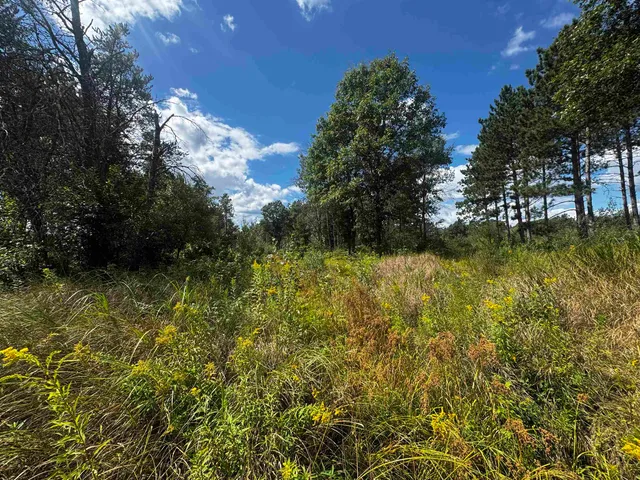 $400,000 | 80-ac 80-ac 13th Avenue, Arkdale, WI 54613