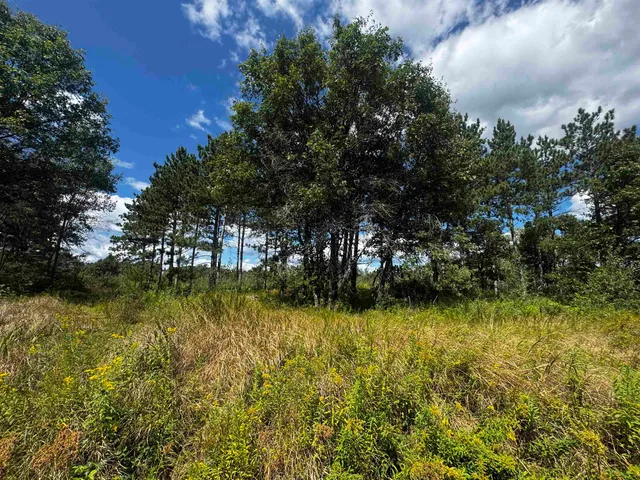 $400,000 | 80-ac 80-ac 13th Avenue, Arkdale, WI 54613