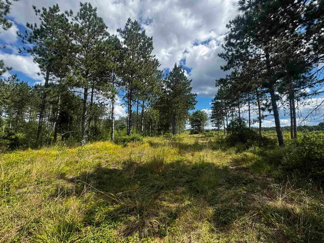 $400,000 | 80-ac 80-ac 13th Avenue, Arkdale, WI 54613