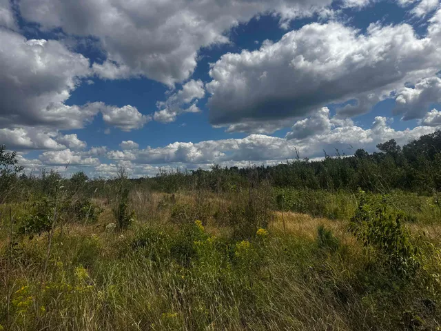 $400,000 | 80-ac 80-ac 13th Avenue, Arkdale, WI 54613