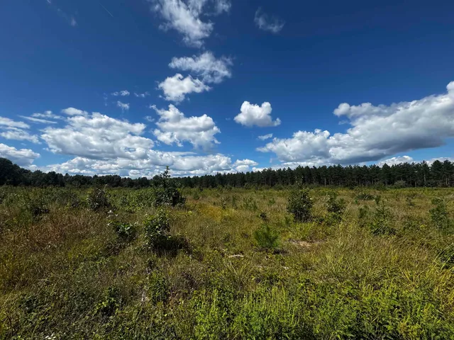 $400,000 | 80-ac 80-ac 13th Avenue, Arkdale, WI 54613