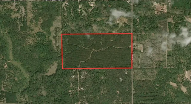 $400,000 | 80-ac 80-ac 13th Avenue, Arkdale, WI 54613