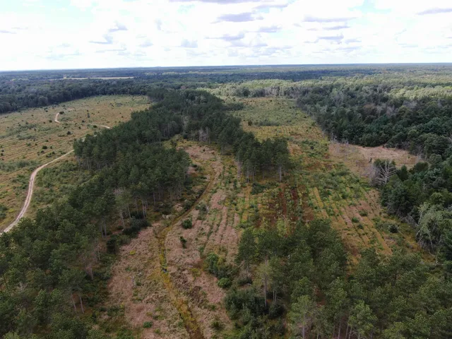 $400,000 | 80-ac 80-ac 13th Avenue, Arkdale, WI 54613