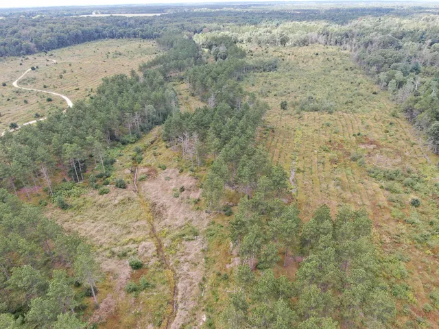 $400,000 | 80-ac 80-ac 13th Avenue, Arkdale, WI 54613