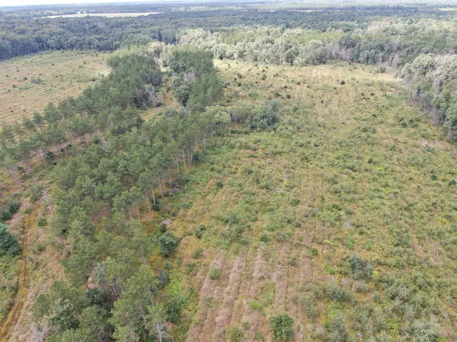 $400,000 | 80-ac 80-ac 13th Avenue, Arkdale, WI 54613
